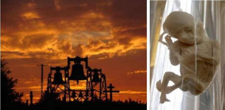 Η παρακάτω είδηση, δεν επιδέχεται αμφισβήτησης, γιατί η πηγή είναι η πλέον αξιόπιστη.