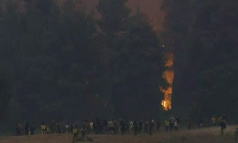 Αυτό που συμβαίνει αυτή τη στιγμή στις Καματριάδες..