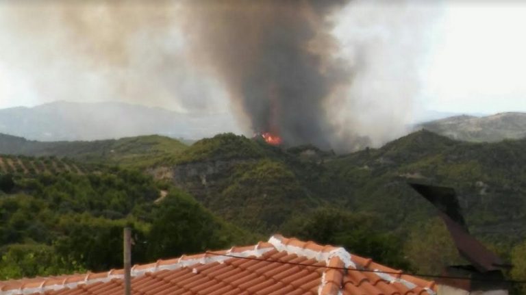 Καυκανια …αρχαιας Ολυμπιας … Χαρδαλια δεν εχεις βουλευτικη ασυλια !!!