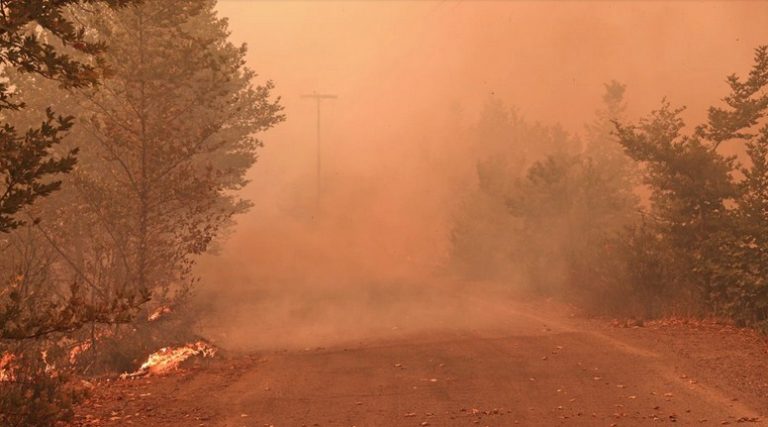 Φωτιά στην Εύβοια: Μέσα στις Γούβες οι φλόγες, απειλείται η Γαλατσώνα – Εγκαταλείπουν οι κάτοικοι το Πευκί
