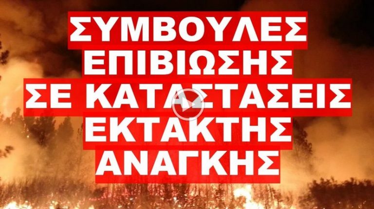 ΠΕΡΙΕΡΓΕΣ ΚΑΤΑΣΤΑΣΕΙΣ ΚΑΤΑ ΤΗΝ ΔΙΑΡΚΕΙΑ ΤΩΝ ΚΑΤΑΣΤΡΟΦΩΝ !
