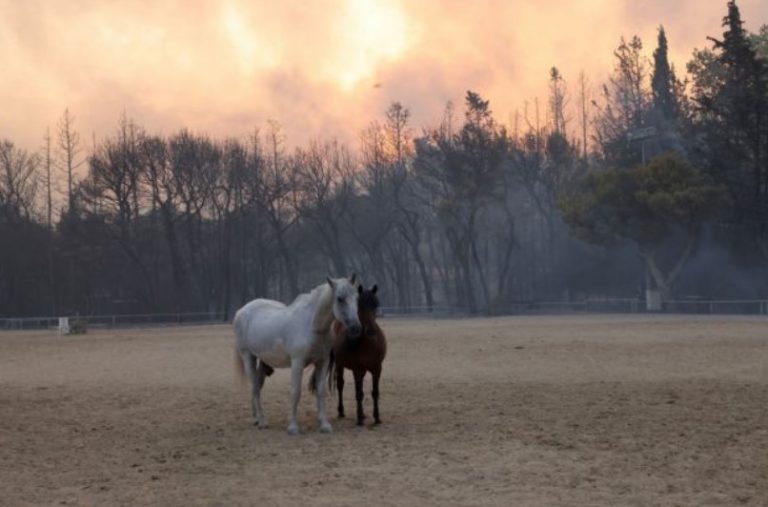 Οταν το “τυχαιο” “κακο” με τις Φωτιες της Αττικης συμφερει απολυτα το σχεδιασμο συγκομιδης και του εμβολιου!ΔΙΑΒΑΣΕ ΤΟ!