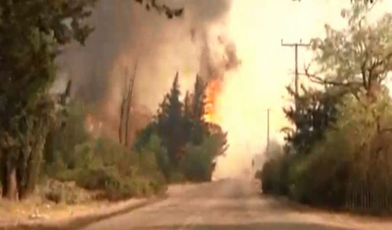 Εκκενώνεται η Αρχαία Ολυμπία – Πληροφορίες για αγνοούμενους