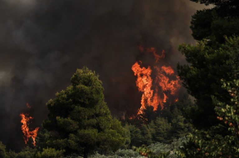 Πύρινη κόλαση στην Ελαία Φωκίδας