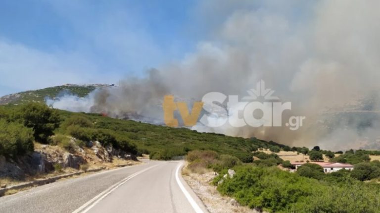 Φωτιά στη Νότια Εύβοια