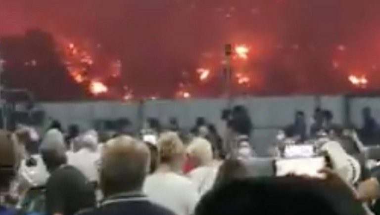 Απίστευτο περιστατικό στην Εύβοια: Έβαζαν τον κόσμο να πληρώνει εισιτήριο στο φέρι μποτ για να φύγει από τη φωτιά