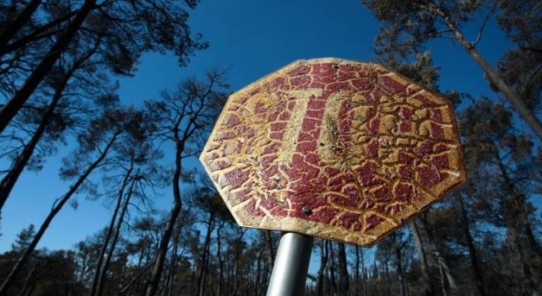 Παρέμβαση εισαγγελέα για τις φωτιές – Έρευνα για την ύπαρξη οργανωμένου σχεδίου εμπρησμών