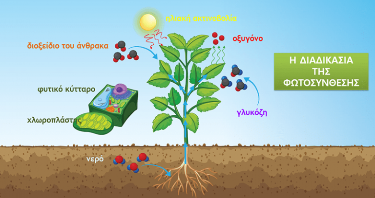 Σέ ικετεύω νά μέ ακούσεις στά σημαντικότερα…. Πάταξον μέ/μέν άκουσον δέ…. Πώς τό 5G μεταμορφώνεται σέ γραφένιον εντός σώματος Μέρος 2