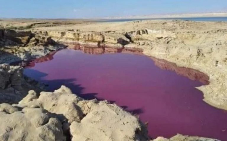 Η Νεκρά Θάλασσα «βάφτηκε» κόκκινη – Δείτε βίντεο και φωτογραφίες