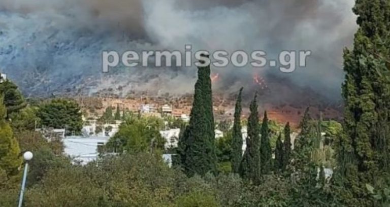 Φωτιά στο Δίστομο: Έξω από τα Άσπρα Σπίτια οι φλόγες