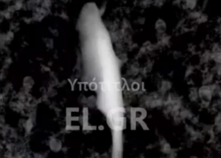 Νέες εικόνες Σ-Ο-Κ για τα συστατικά του εμβολίου! Επιστήμονας βάζει «μπουρλότο»!!! Δείτε το ΒΙΝΤΕΟ