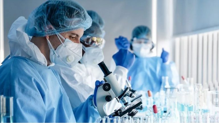 ΕΦΑΓΑ  ΦΛΑΣΙΑ