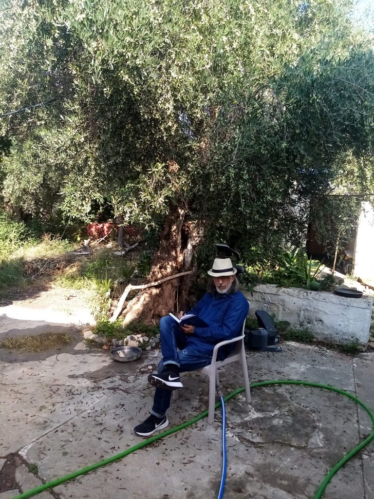 Αυτή είναι η αγαπημένη μου ελιά!!!