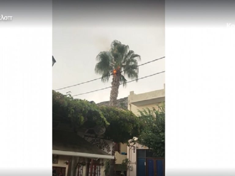 Κακοκαιρία Μπάλλος – Ηράκλειο: Ο φοίνικας χτυπήθηκε από κεραυνό και πήρε φωτιά
