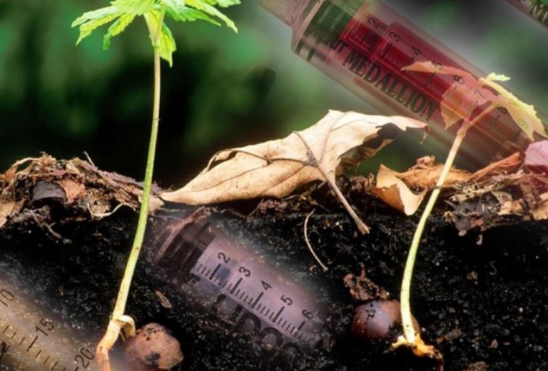 Το αβέβαιο μέλλον της επισιτιστικής ασφάλειας