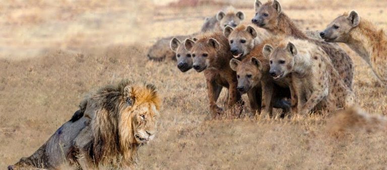 Δεν πρεπει να ασθενησεις  … ΣΤΟΧΟΣ ΕΠΙΤΕΥΧΘΗ!