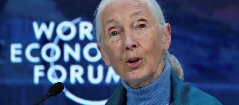 «Θέλουμε μείωση πληθυσμού»: Δείτε τι είχε ειπωθεί στο WEF λίγο πριν ξεσπάσει ο εφιάλτης του Covid-19