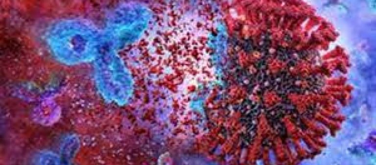 Με μονοκλωνικά έγινε καλά αντιδήμαρχος του δήμου Αθηναίων – Πολλά ερωτήματα γύρω από την υπόθεση των μονοκλωνικών