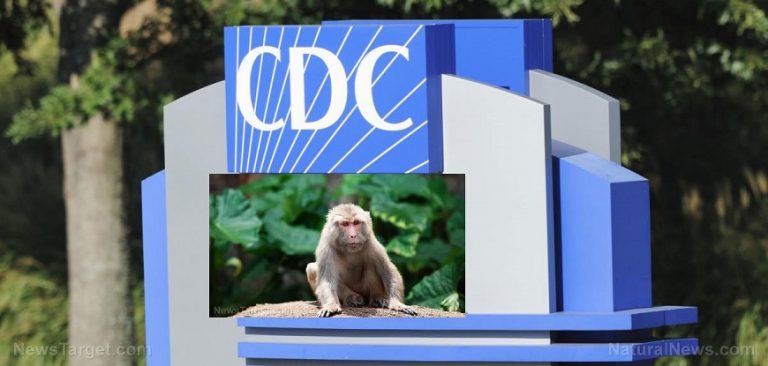 Naturalnews : Μήπως το CDC σκηνοθέτησε τις “μαϊμούδες που δραπέτευσαν” ως μια ιστορία κάλυψης για την απελευθέρωση του επόμενου βιολογικού όπλου;