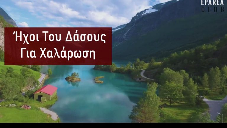 Ήχοι Του Δάσους Για Χαλάρωση. Νιώσε Την Ευεργετική Επίδραση Τους