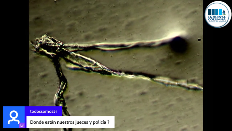 Το περίεργο περιεχόμενο των ενέσεων της Pfizer: Η La Quinta Columna επιβεβαιώνει τα ευρήματα του Πολωνού επιστήμονα και της Dr. Carrie Madej