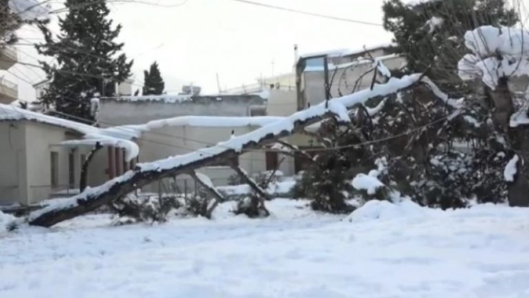 Κάτοικος Αμαρουσίου: «Τηλεφώνησα στον Δήμο για να έρθει εκχιονιστικό και μου είπαν “είναι αργία, δεν το καταλάβατε;”»