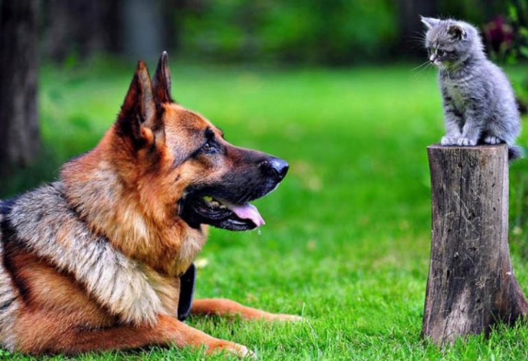 Από μικρός είχα μία ανυπόφορη συναισθηματική δυσφορία, υποψία, απέχθεια διά τήν πειθαρχία…