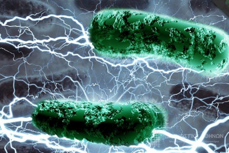 Και όμως, το σώμα μας παράγει και ηλεκτρισμό! Δεν μαντεύετε πού!