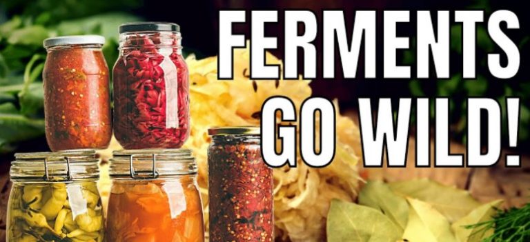 Πώς Να Φτιάξεις Προβιοτικά Τρόφιμα!
