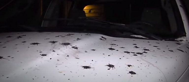 Λας Βέγκας: Μυστήριο με μαύρη «βροχή» που πέφτει εδώ και εβδομάδες