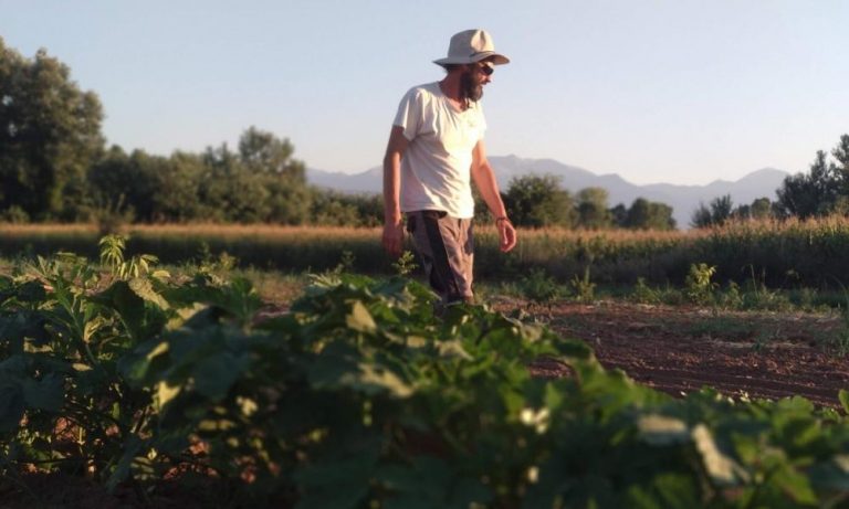 Στρατηγικό σχέδιο από την Ιρλανδία: Πριν πεινάσουν…καλλιεργούν