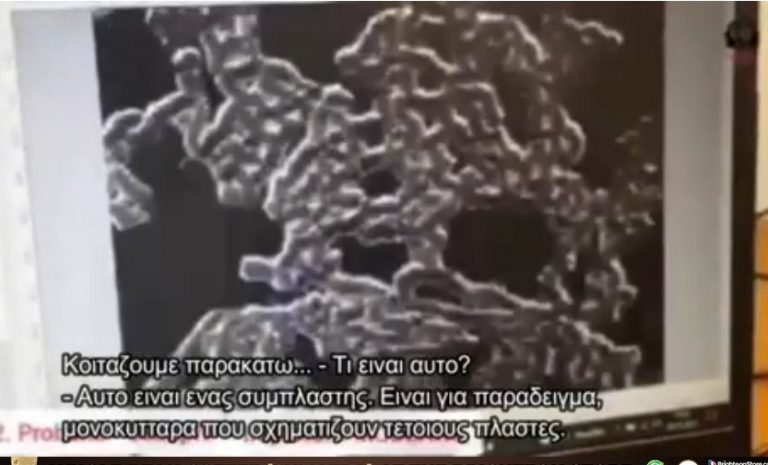 ΔΙΑΦΟΡΑ ΑΙΜΑΤΟΣ ΕΜΒΟΛΙΑΣΜΕΝΩΝ ΚΑΙ ΑΝΕΜΒΟΛΙΑΣΤΩΝ ……