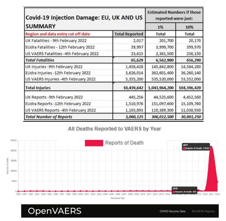 Εδώ και ένα μήνα σχεδόν έχουν, δημοσιευτεί τα πρώτα στοιχεία από τις κλινικές έρευνες της Pfizer σχετικά με την ασφάλεια των παρασκευασμάτων της.