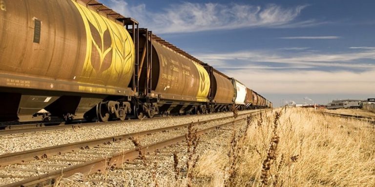 Φόβοι για ελλείψεις τροφίμων – Ακινητοποιημένα στην Ουκρανία χιλιάδες βαγόνια τρένων με σιτηρά