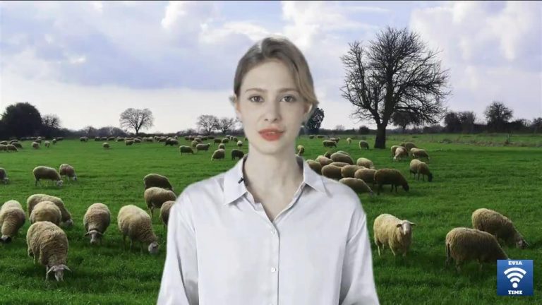 Οι κτηνοτρόφοι της βόρειας Εύβοιας κάνουν έκκληση για επείγουσα βοήθεια