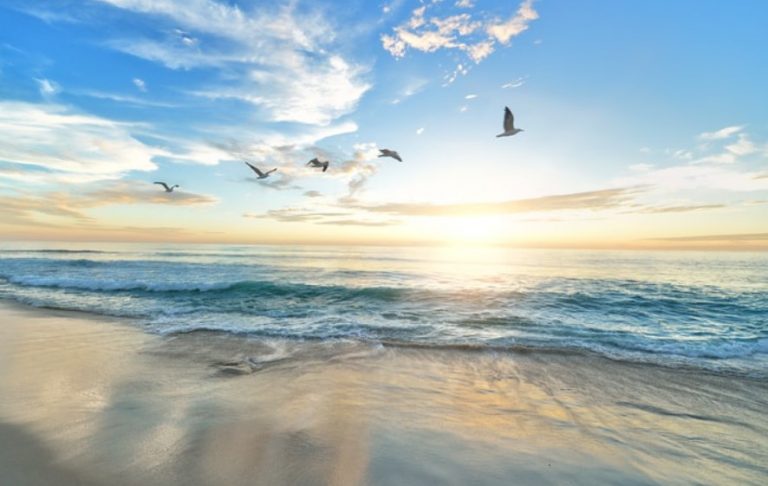 Άμα δεν είσαι ταπεινός είσαι ανίκανος να αγαπήσεις…