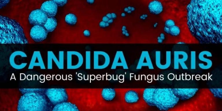 Συναγερμός ΕΟΔΥ για τον θανατηφόρο ιό Candida auris: Διαδέχεται τον κορωνοϊό με θνητότητα – σοκ 60% – Αποκάλυψη Σύψα