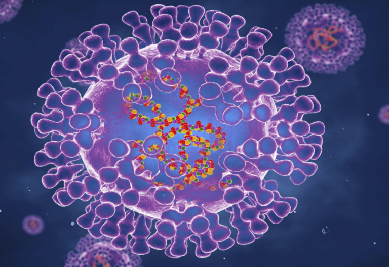 Ευλογιά των πιθήκων: 780 κρούσματα σε τρεις εβδομάδες ανακοίνωσε ο ΠΟΥ