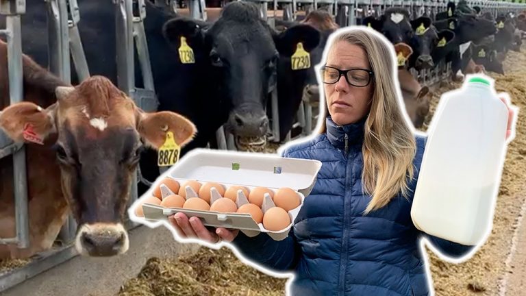 JP Sears: Προκαλούν ελλείψεις τροφίμων;! | They’re Causing Food Shortages?!