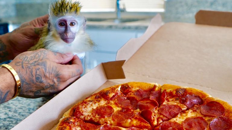 Ευλογιά των πιθήκων: Τρία επιβεβαιωμένα κρούσματα στην Ιταλία