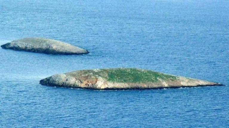 Προκαλεί Τούρκος καθηγητής: «Η Τουρκία να κάνει ότι έγινε και στα Ιμια και να αποβιβαστεί σε μερικά νησιά»