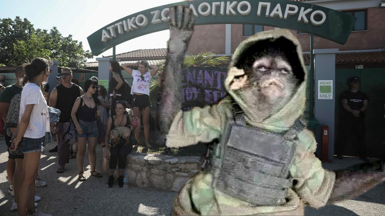 Ξεμείναμε από έλληνες και τώρα κάναμε ήρωα το χιμπατζή