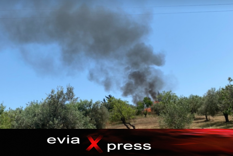 Μεγάλη φωτιά στα Γάια Κονιστρών του Δήμου Κύμης Αλιβερίου