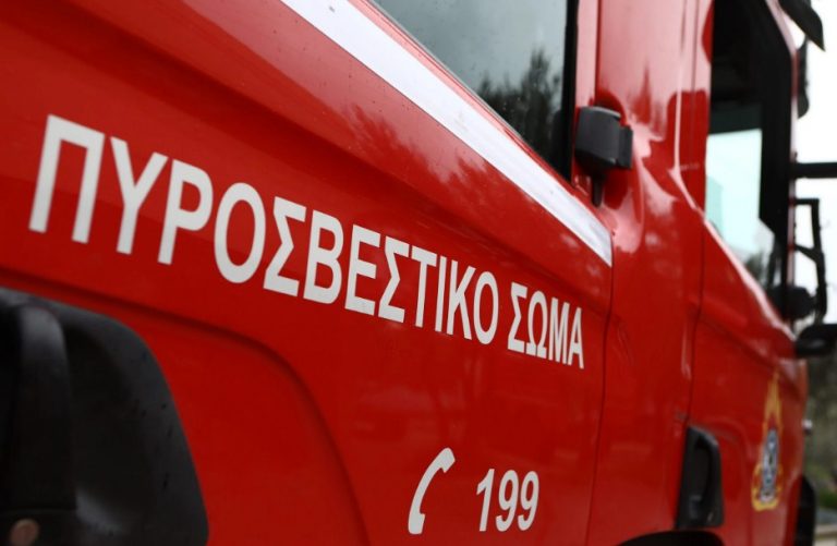 Πύρινα μέτωπα στη Χαλκιδική -Μεγάλη κινητοποίηση της Πυροσβεστικής