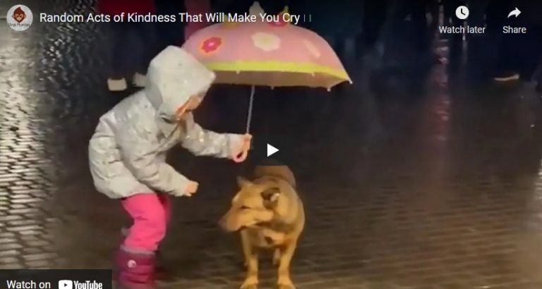 Πίστη στην ανθρωπότητα…