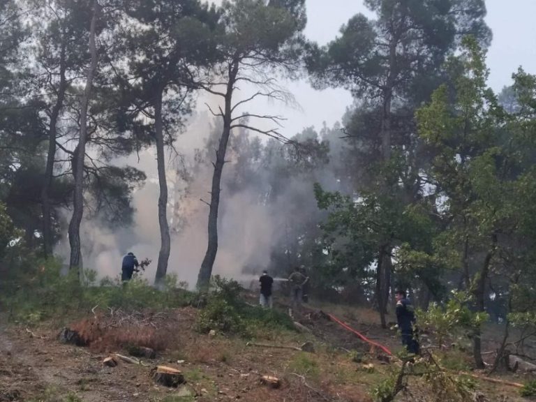 Μόνοι τους τα λένε!! «Τα σημεία των πυρκαγιών είναι περάσματα παράνομων μεταναστών»