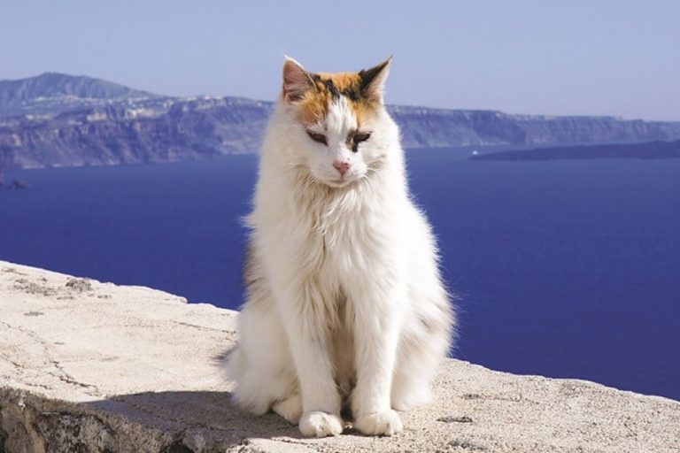 Μουσικουλα καλοκαιρινη …Ιουλιου 3 παρακαλω …!