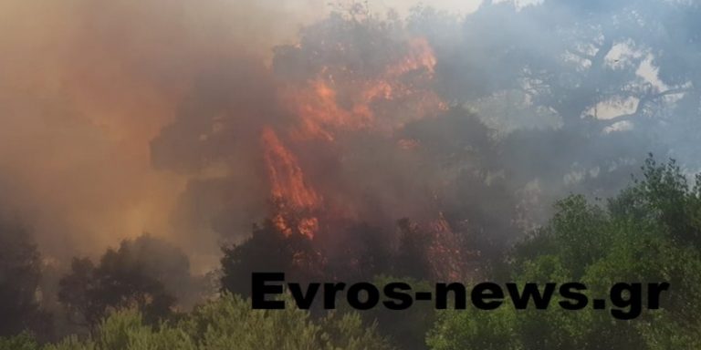 Έβρος: Επιχείρηση της Πυροσβεστικής για την κατάσβεση πυρκαγιάς στο Αρίστηνο Έβρου