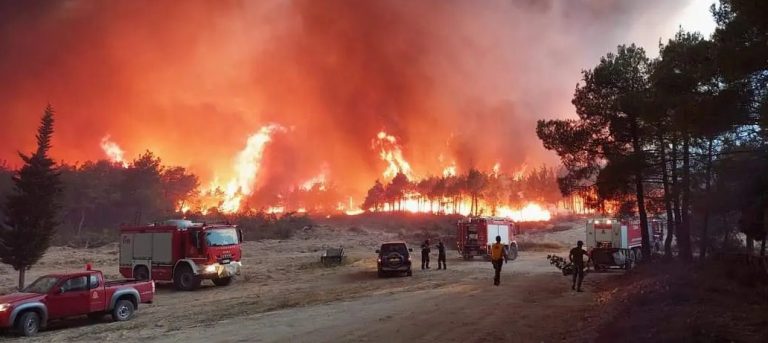Δαδιά: Η φωτιά έπρεπε να σβήσει την πρώτη νύχτα- Πιθανόν να ξεκίνησε από μετανάστες