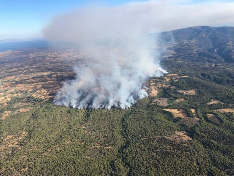 Μεγάλη πυρκαγιά στα Μέγαρα: Απειλείται και το Αλεποχώρι – Εκκενώνεται οικισμός